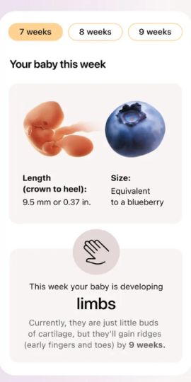 Flo Ovulation & Period Tracker