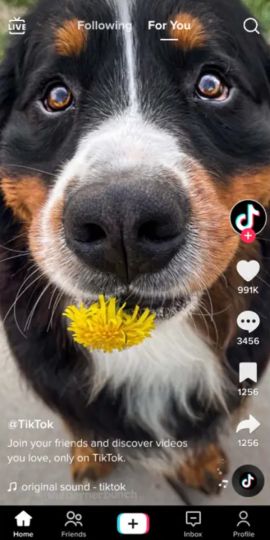 TikTok