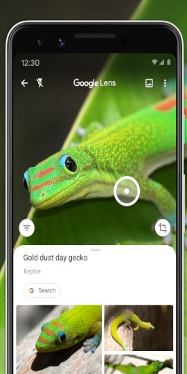 Google Lens