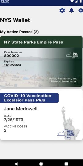 NYS Wallet
